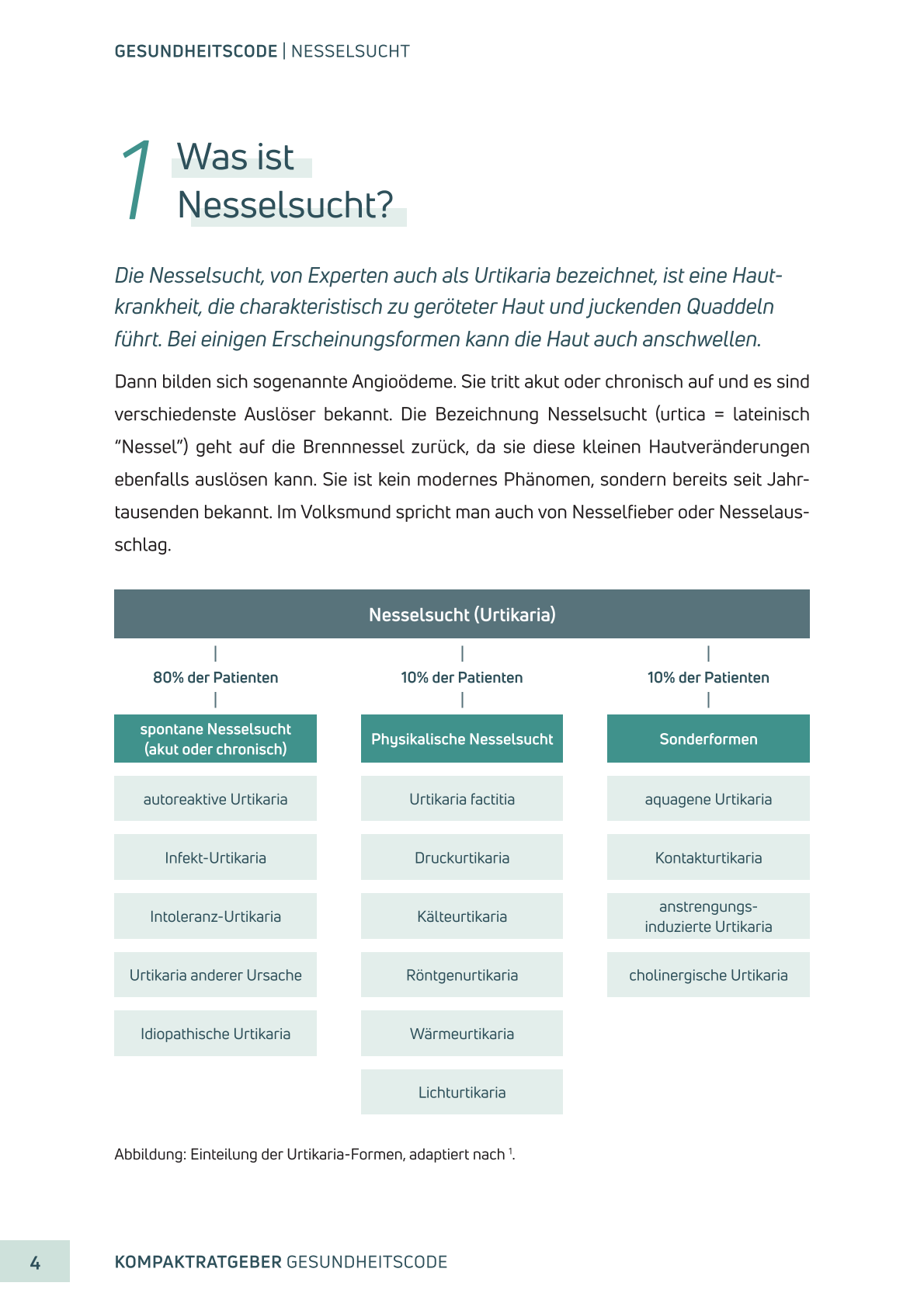 Nesselsucht | E-Book