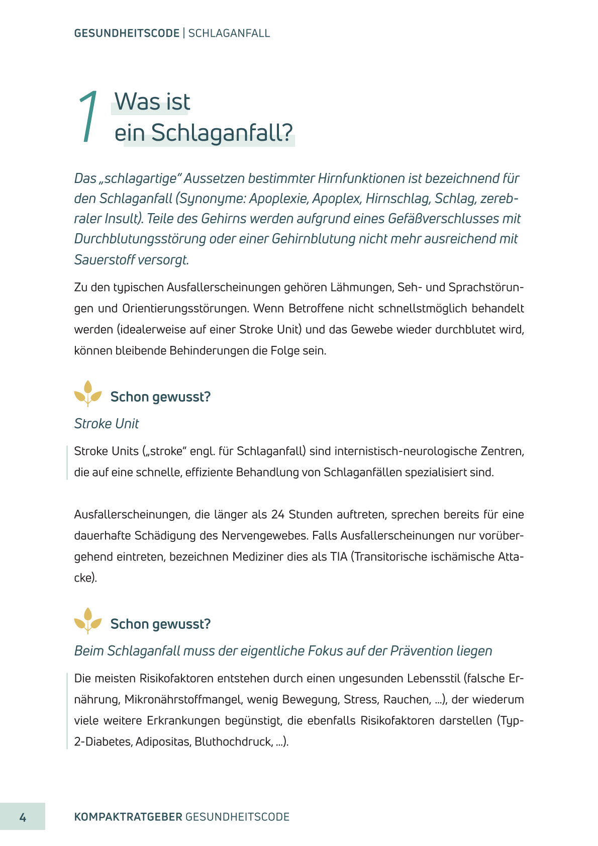 Schlaganfall | E-Book