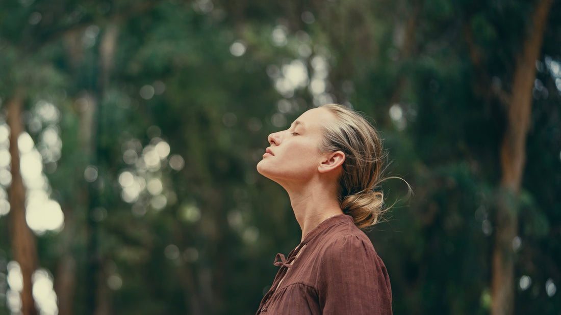 Kein Schalter, sondern Regulation: Qi Gong und der Vagusnerv