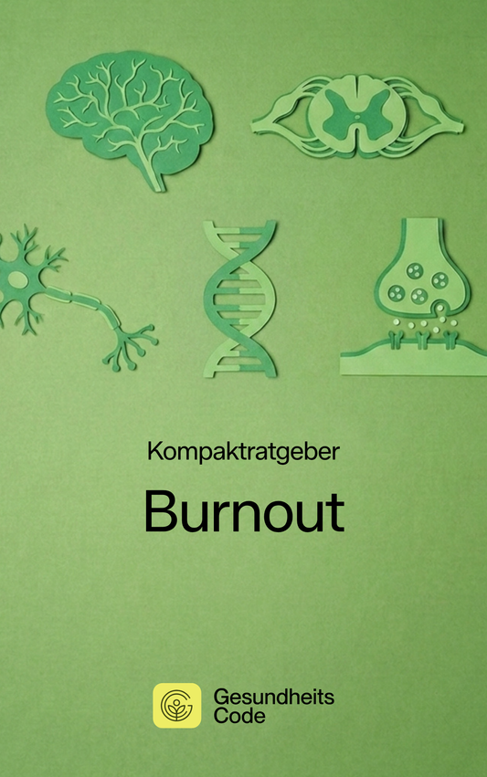 Burnout | E-Book