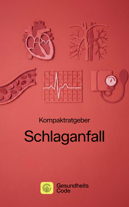 Schlaganfall | E-Book