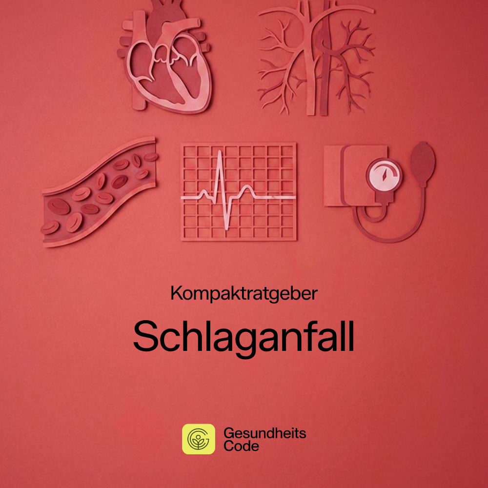 Schlaganfall | E-Book