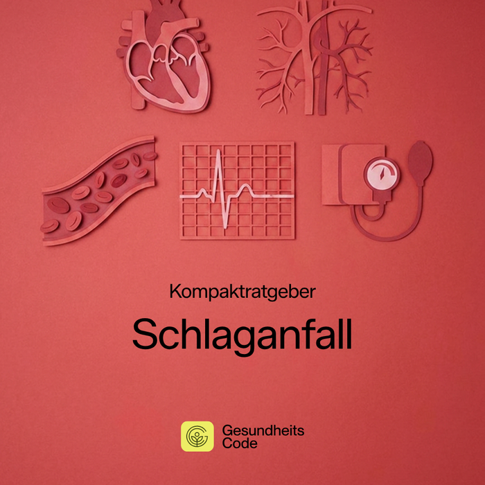 Schlaganfall | E-Book