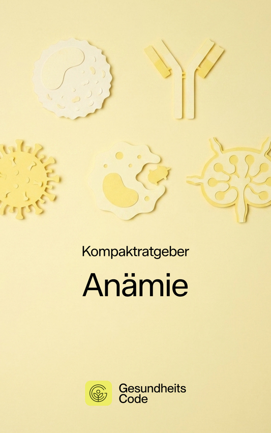 Anämie | E-Book