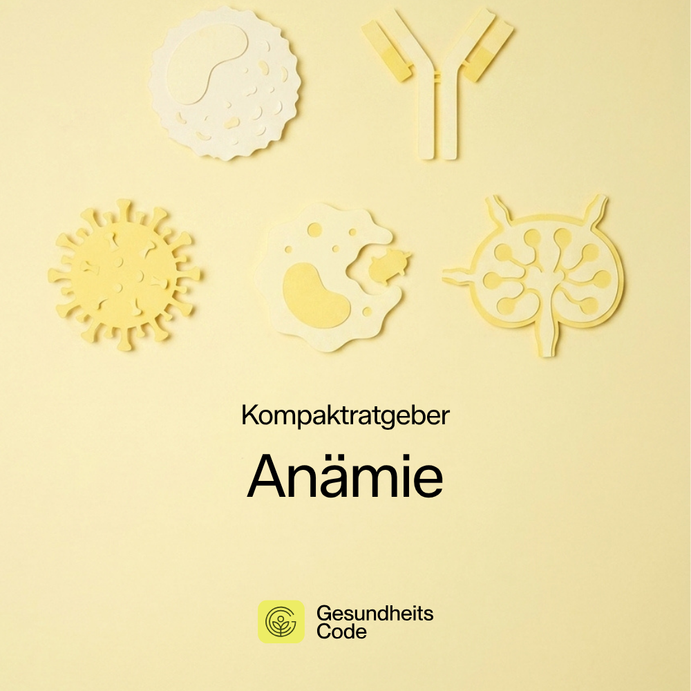 Anämie | E-Book