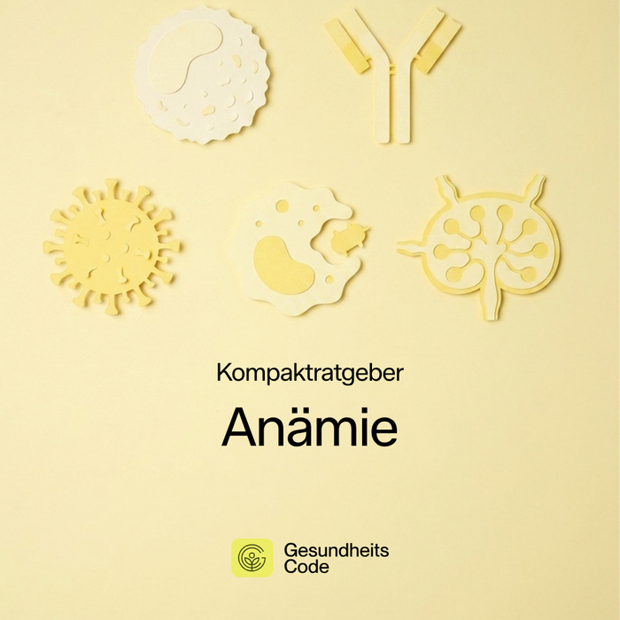 Anämie | E-Book