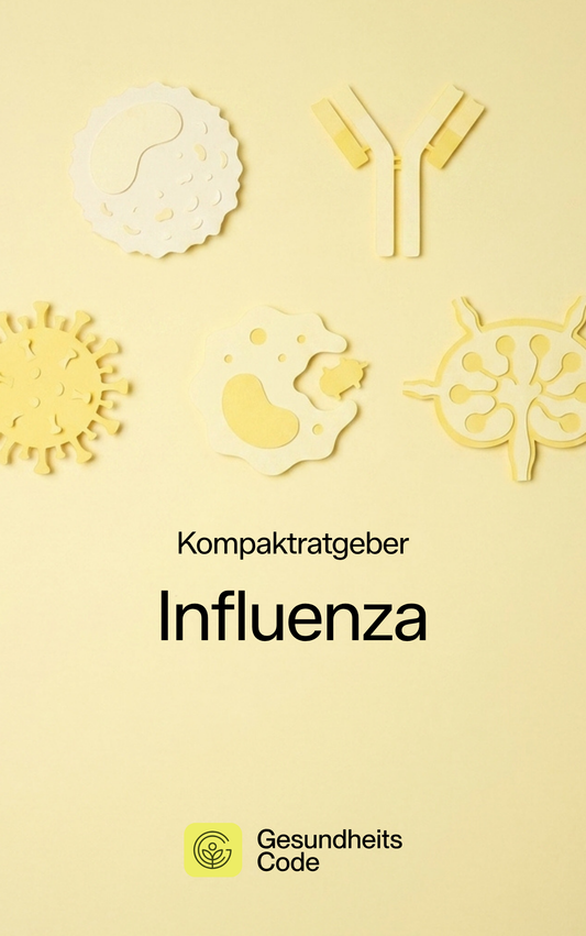 Influenza | E-Book