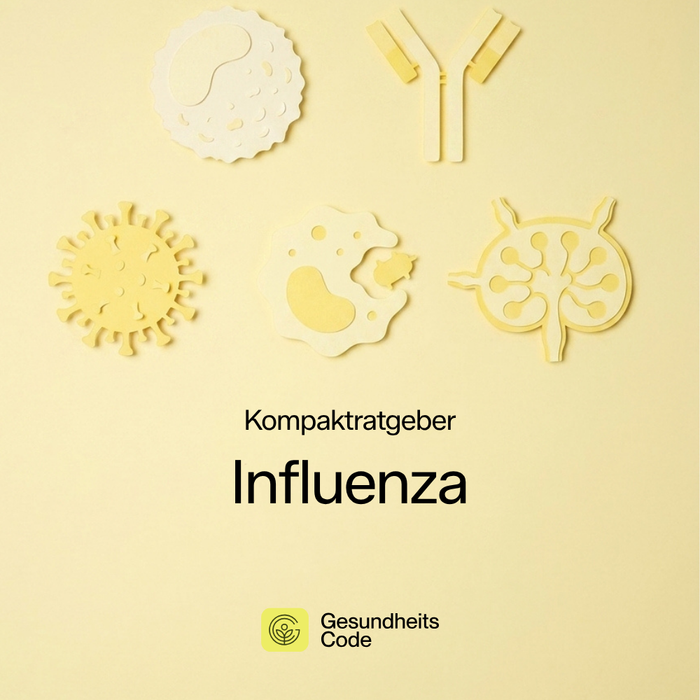 Influenza | E-Book