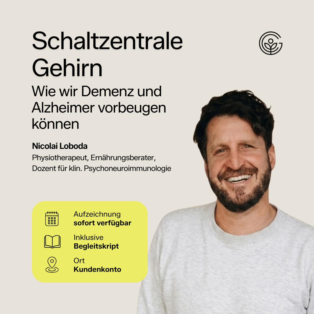Schaltzentrale Gehirn