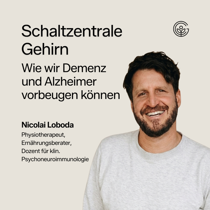 Schaltzentrale Gehirn