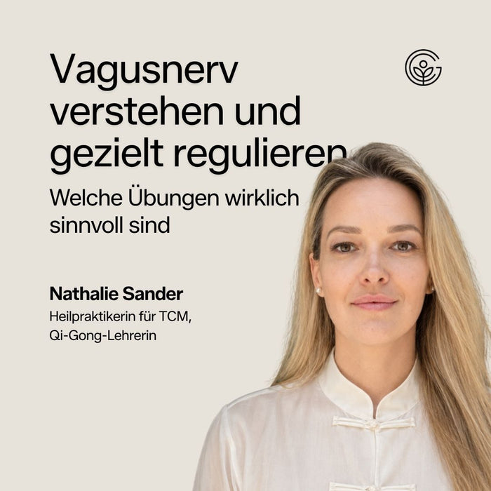 Vagusnerv verstehen und gezielt regulieren